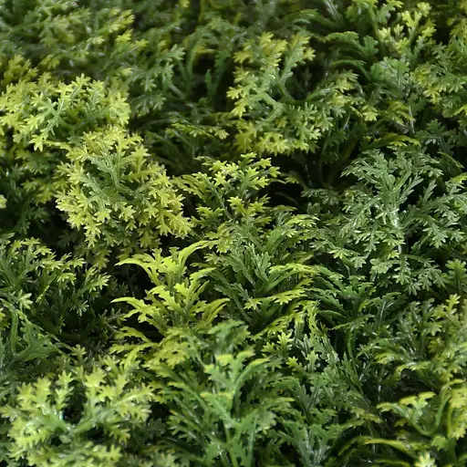 Декоративное зеленое покрытие Engard Мох 50 х 50 см (GCK-14) - фото 9