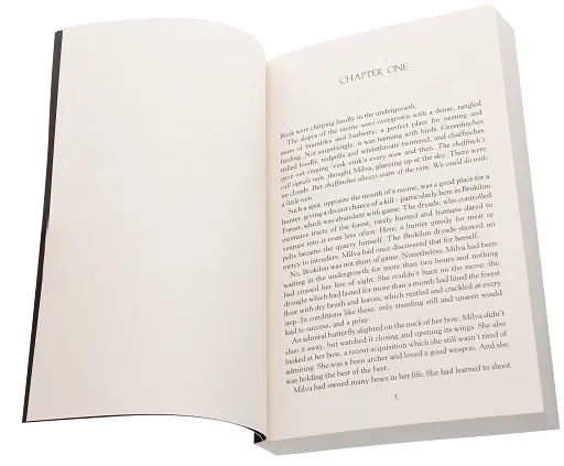 The Witcher. Baptism of Fire - фото 2