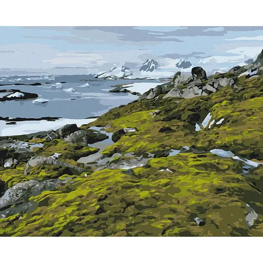 Картина за номерами на підрамнику Brushme Зелена Антарктика Дмитро Мартиненко