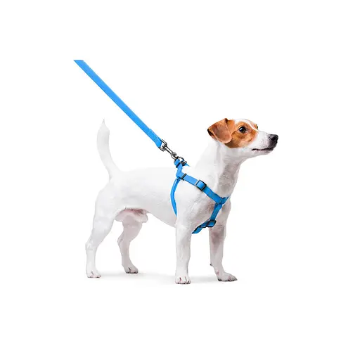 Шлея для собак водостійка Waudog Waterproof з QR-паспортом металічна пряжка-фастекс Ш 15 мм Д 40-55 см блакитний - фото 6