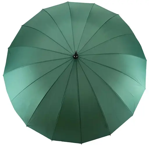 Зонтик Semi Line Green (2512-6) (DAS303082) - фото 2