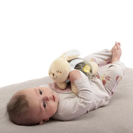 Мягкая игрушка-грелка Chicco Теплый зайчонок Dou Dou (12161.00) - фото 5