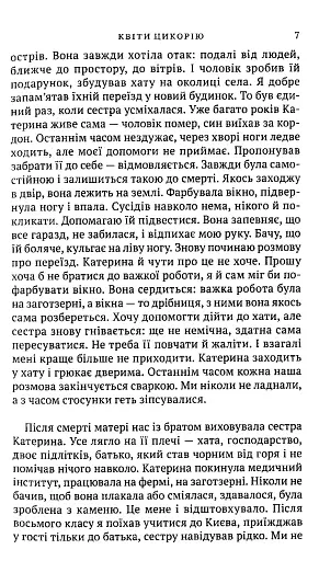 Квіти цикорію - фото 5