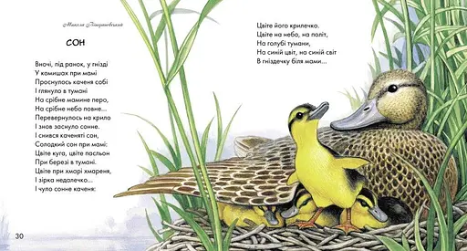 Книга Жовтий гостинець. Письменники - дітям (Ранок) - фото 3