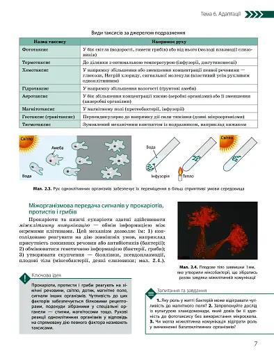 Біологія і екологія. Підручник. Профільний рівень. 11 клас - фото 6