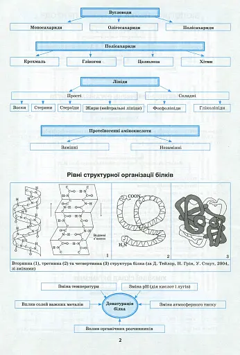 Біологія в таблицях і схемах. 6-11 класи - фото 5