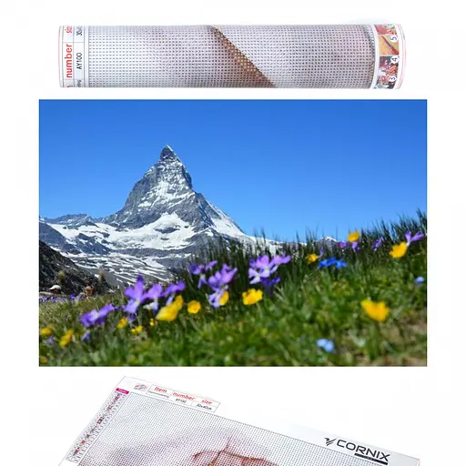 Набір алмазної мозаїки (вишивки) Cornix Art 40 x 30 см AY61 - фото 1