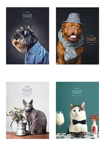 Комплект 4 шт загальних зошитів. Зошит Школярик А5 80 арк. у лінію 5069 4823088207798 - фото 1