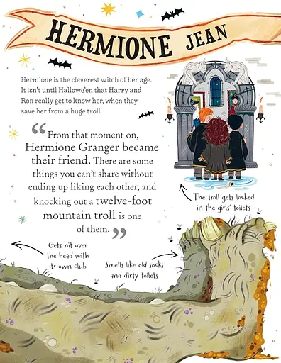 Pocket Potters: Hermione Granger - Ролінґ Джоан - фото 2