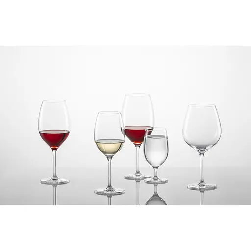 Набор бокалов для белого вина Schott Zwiesel For You 368 мл 4 шт. (121871) - фото 5