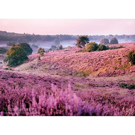 Пазл Tactic 1000 Болота, покрытые вереском (56750) - фото 2