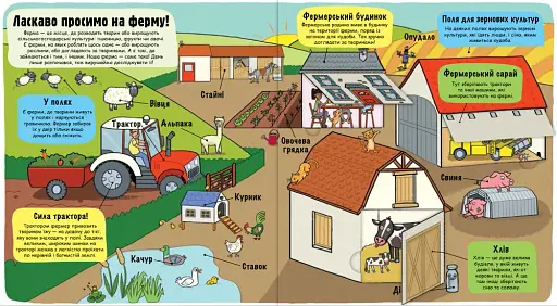 Маленькі дослідники. Ферма - фото 4