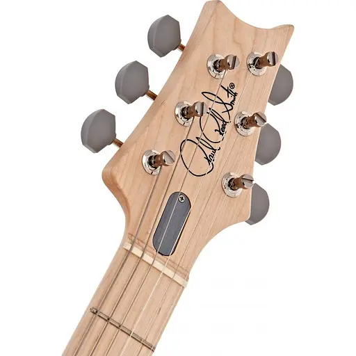 Електрогітара PRS Silver Sky Frost (0350115) [129631] - фото 7