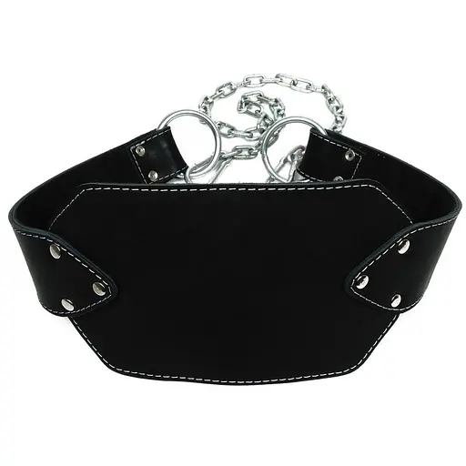 Пояс для отягощений EasyFit (кожа) до 250 кг (EF-DBC-250) - фото 1