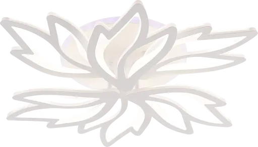 Потолочный светильник LI9862-3+3