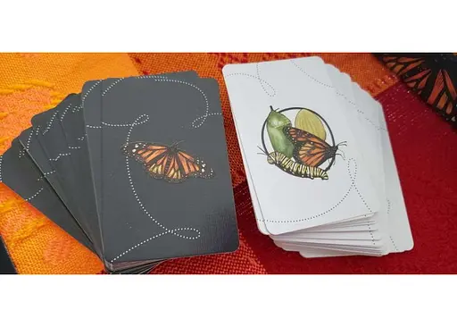 Настольная игра Alderac Entertainment Group Бабочки (Mariposas) (англ.) (AEG8070) - фото 7