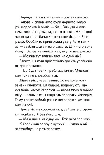 Чорний Кіт — помічник. Дотримуйтеся порядку в резиденції! - фото 5
