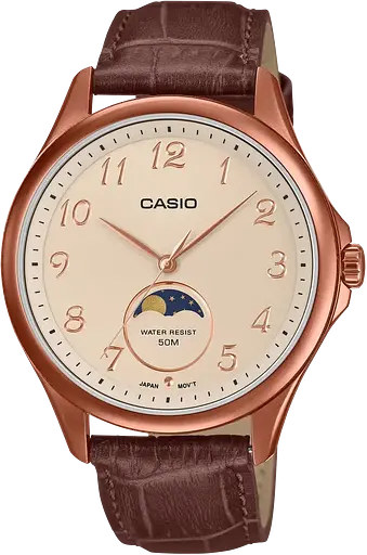 Часы Casio TIMELESS COLLECTION MTP-M110RL-5AVER