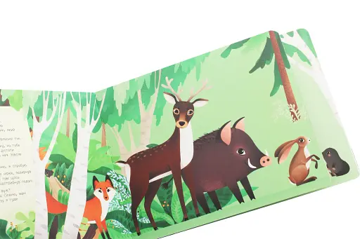 Дізнайся хто. Найменший у лісі - фото 3