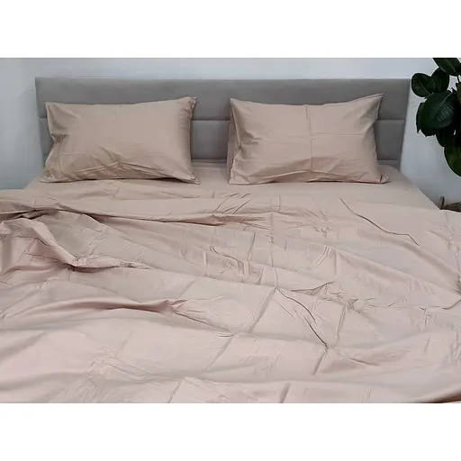 Комплект постельного белья Ecotton твил-сатин (23124) - фото 2