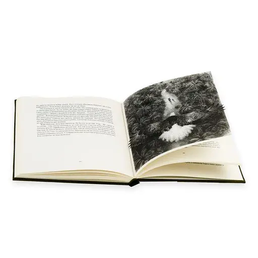 Двадцять два тапіри - фото 4