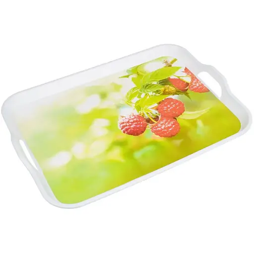 Піднос Орлеан NRP50TRAY