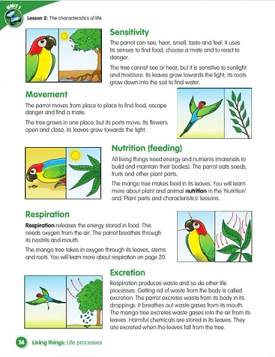 Macmillan Science. Level 4. Student's Book & eBook - фото 3