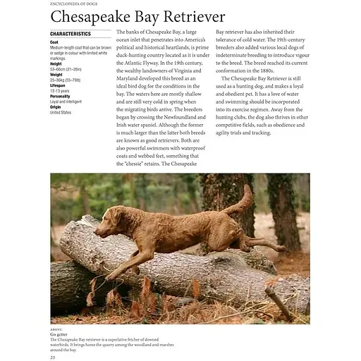 Encyclopedia of Dogs - Джексон Том - фото 5