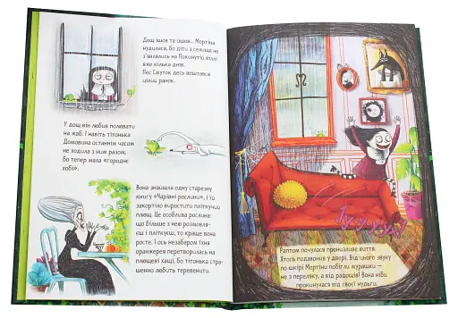 Мортіна та вередливий кузен. Книга 2 - фото 3