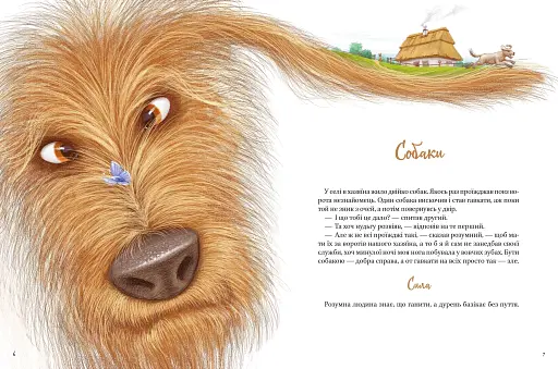 Байки - фото 3