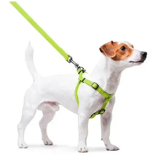 Шлея для собак Waudog Waterproof водостійка з QR паспортом, металічна пряжка-фастекс, салатовий - фото 6