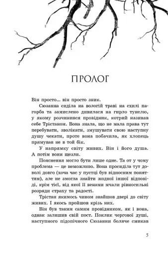 Провідник. Порушники. Книга 2 - фото 3