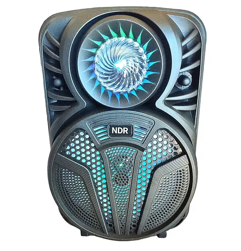 Бездротова Bluetooth-колонка NDR P33 8 дюймів 15W