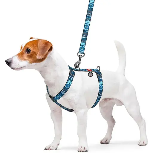 Шлея для собак Waudog Nylon анатомічна H-подібна з QR-паспортом, малюнок "Етно синій", пластиковий фастекс, S - фото 3