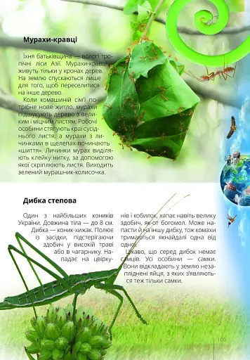 Про все на світі маленьким українцям - фото 4