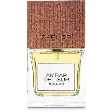 Парфюмированная вода оригинал Carner Barcelona Ambar Del Sur 100 мл - фото 1