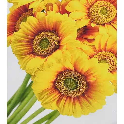 Алмазна мозаїка Strateg ПРЕМІУМ Сонячні квіти розміром 30х40 см (HEG88145) - фото 1