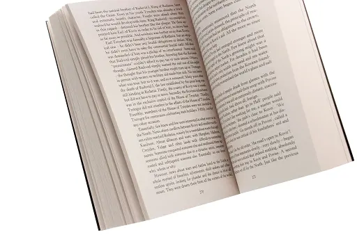 The Witcher. The Tower of the Swallow - фото 3