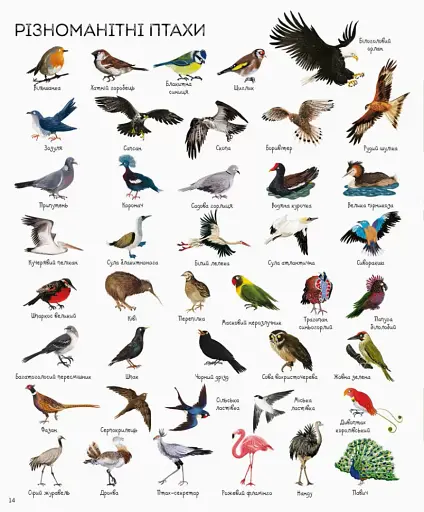 1000 назв тварин - фото 4