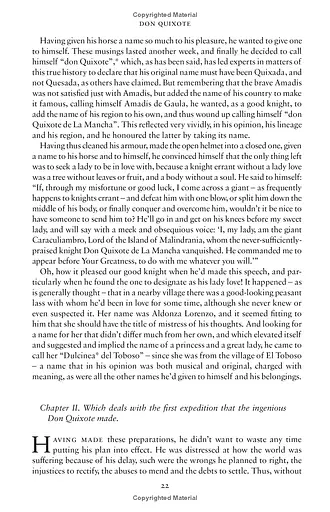 Don Quixote - фото 6