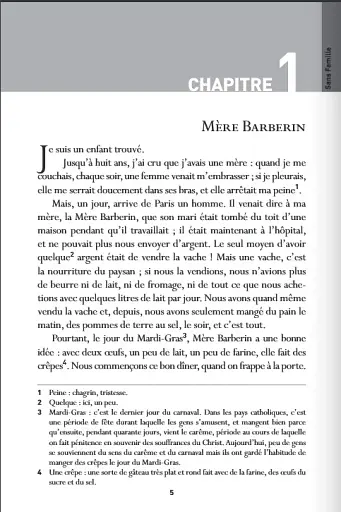 Sans famille (B1) + CD audio MP3 - фото 4