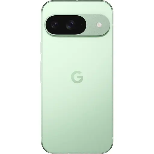 Смартфон Google Pixel 9 12/128GB Wintergreen No Adapter US - фото 2