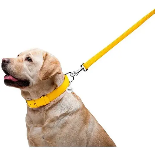 Повідець для собак Waudog Glamour шкіряний, жовтий - фото 5