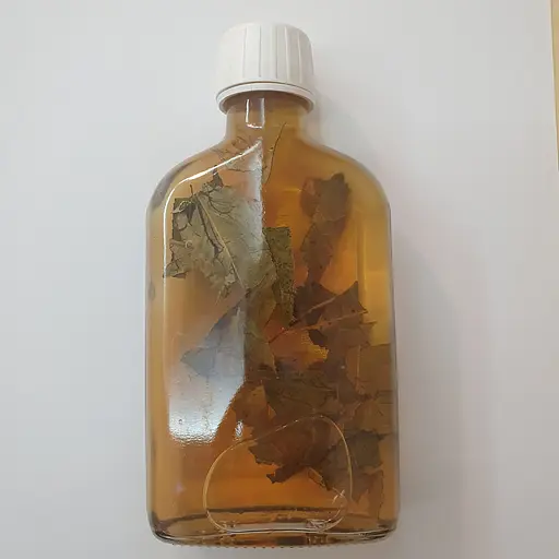 Настоянка на листі білої верби 200 мл - фото 2