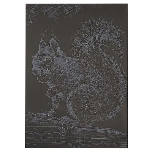 Гравюра А5 Белочка ГрА5с-22 эконом вариант в пакете 21 х 14,8 см