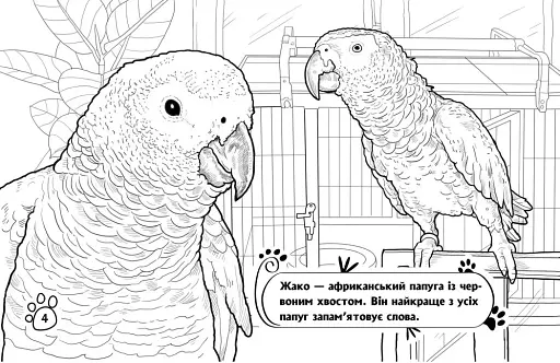 Розмальовка з тваринами. Тварини в оселі - фото 4