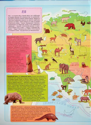Атлас. Тварини семи континентів - фото 4