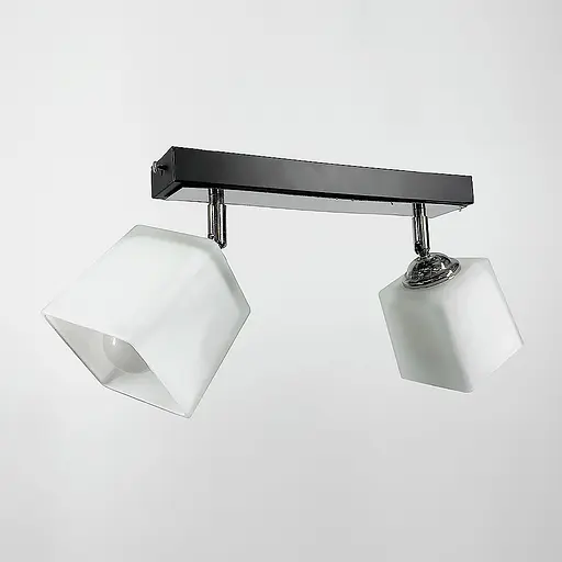 Світильник в чорному або білому корпусі на 2 плафони Line.F Колір корпусу Чорний - фото 1