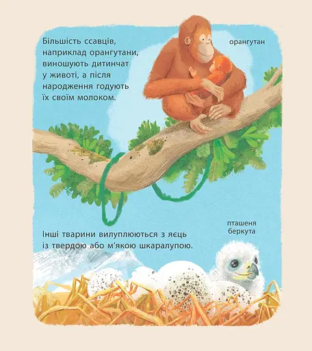 Дивовижна природа : Дивовижні дитинчата тварин - фото 3