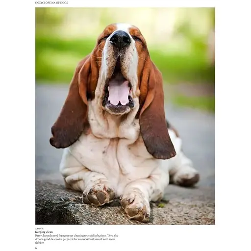 Encyclopedia of Dogs - Джексон Том - фото 3